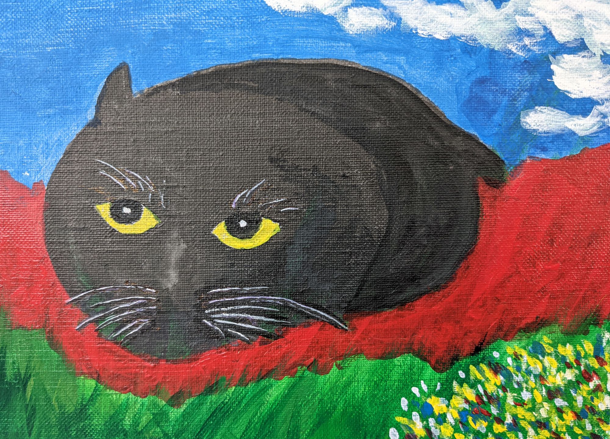 ノラネコ　ノーラ